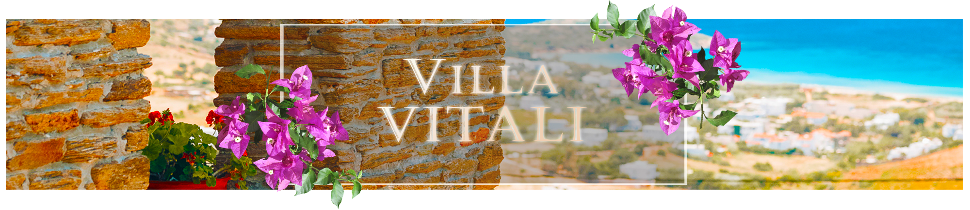 villa vitali andros